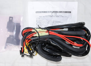 GTA-004 200 series HI/LO simultaneous lighting harness kit for vehicles equipped with 1,2,3 type LED look headlamps